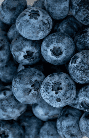 Productos alimentarios y agroalimentarios