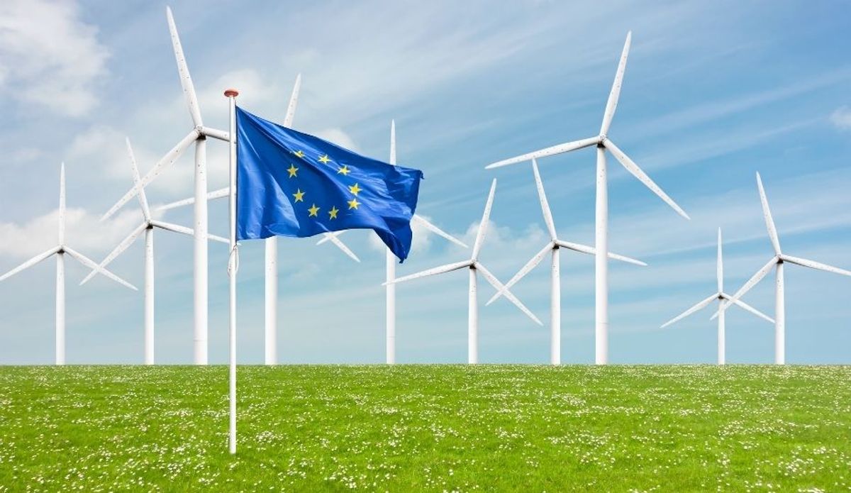 Navegando por las Recientes Actualizaciones de la Regulación sobre Deforestación de la UE y los Marcos ESG: Información Esencial para las Empresas