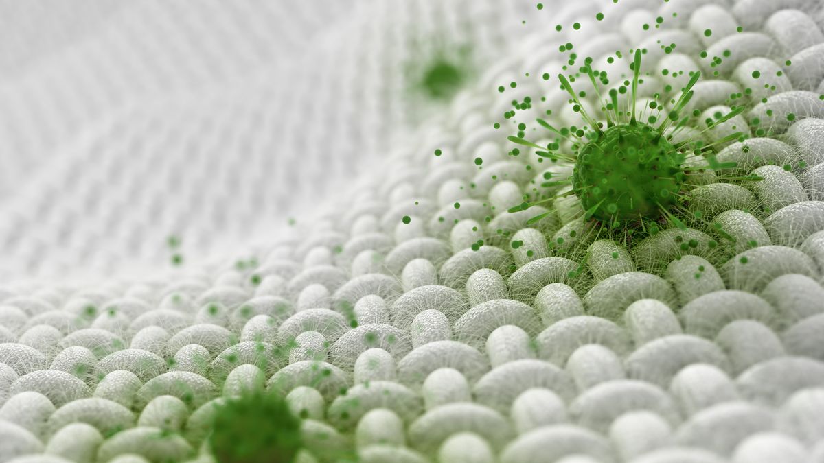 Prueba de Tejidos Antimicrobianos: Descripción de los Métodos de Prueba Clave