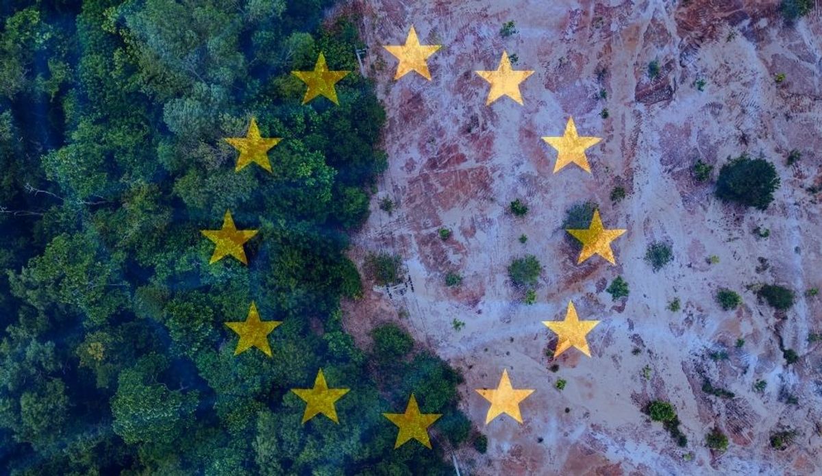 EUDR retrasado para 2026/2027: nueva línea de tiempo, simplificación y lo que las empresas deben hacer