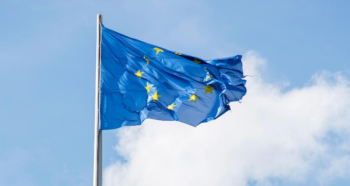 Regulación REACH: Lo que cada marca e importador debe saber sobre la colocación de productos en el mercado de la UE