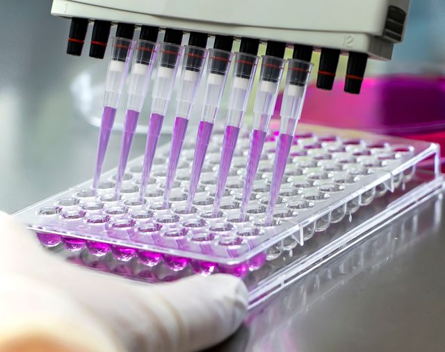 Investigación y pruebas preclínicas Investigación y pruebas preclínicas