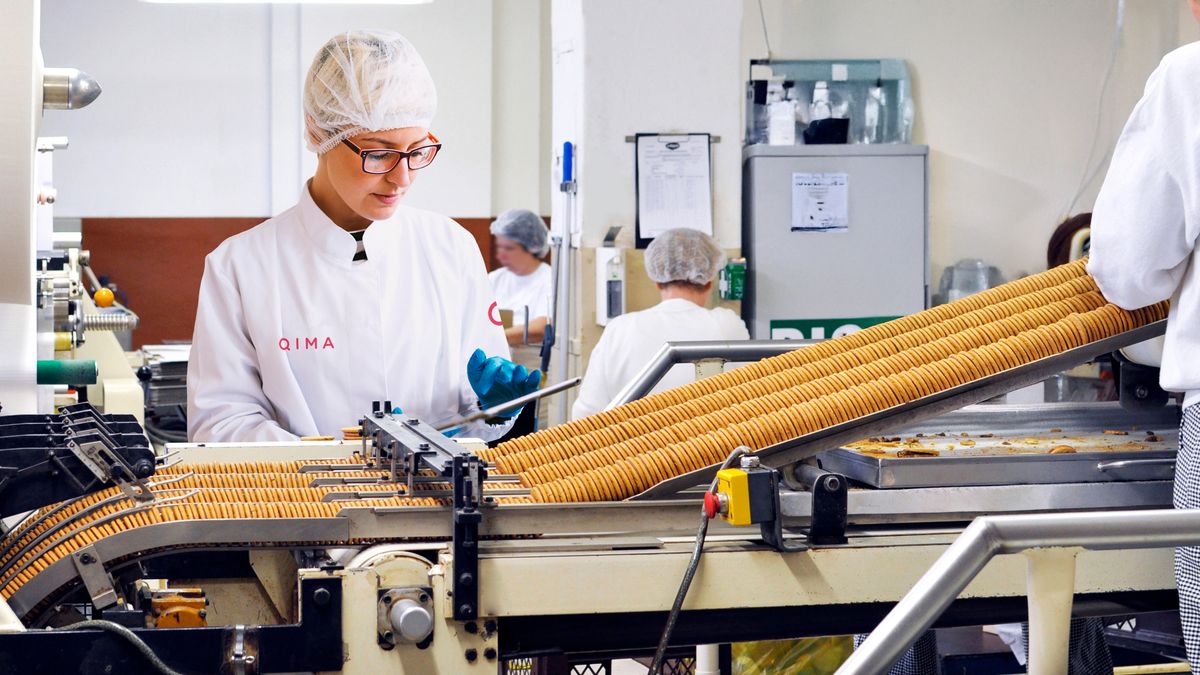 HACCP Paso a Paso: Implementación de Seguridad y Calidad en la Producción de Alimentos