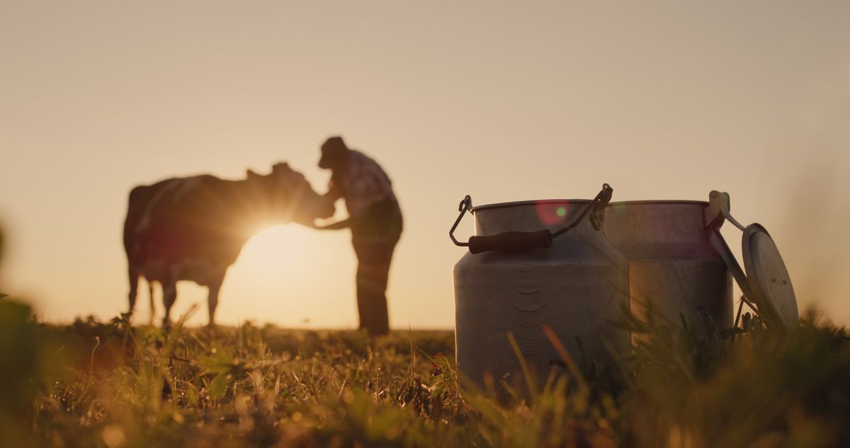QIMA y Nutron/Cargill lanzan el programa de certificación de bienestar animal Nutron Bem+Leite