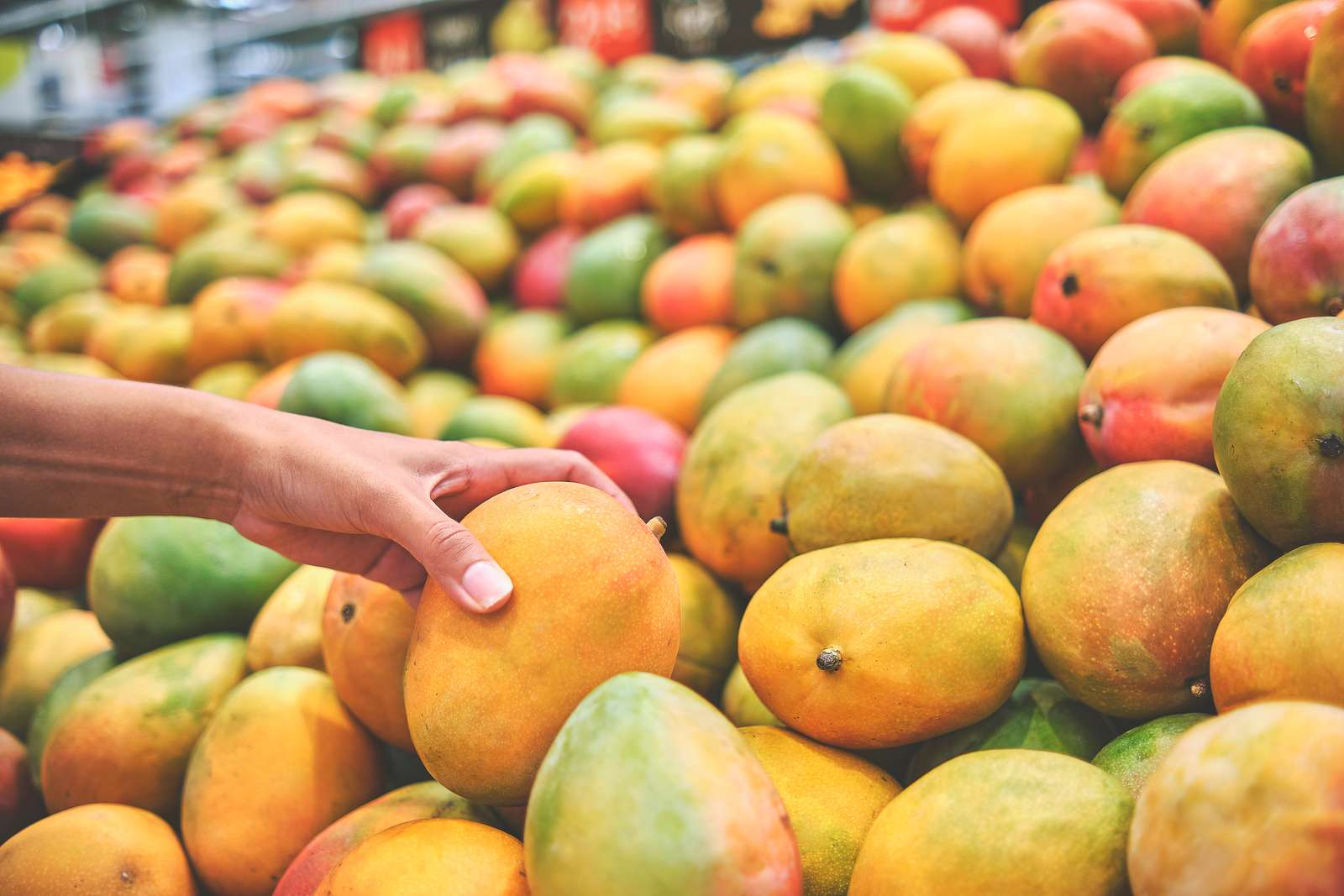 Organic food: don't fall for scams!