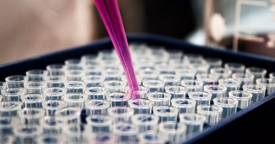 Navigating SVHC Presence in Consumer Products – Regulatory Requirements, Common Failure and Test Methods Navigating SVHC Presence in Consumer Products – Regulatory Requirements, Common Failure and Test Methods