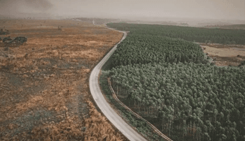 EUDR 最新动态解析与合规实操研讨会 EUDR 最新动态解析与合规实操研讨会