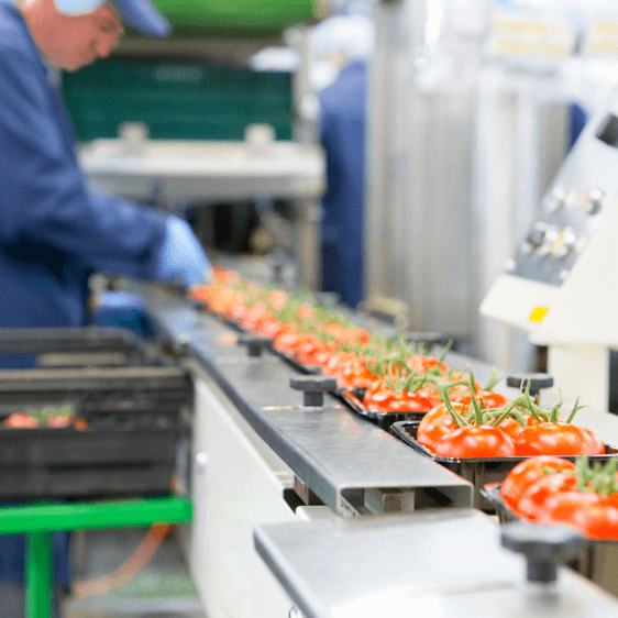 Changes to the audit protocol Changes to the audit protocol